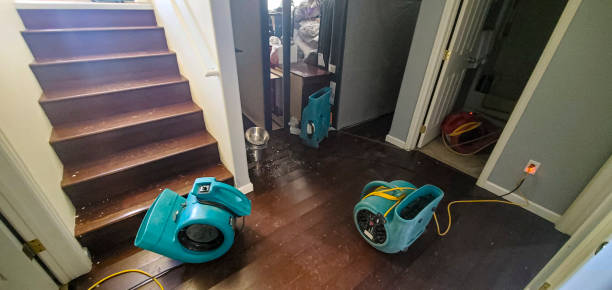 Best Fire Damage Restoration  in Point Venture, TX