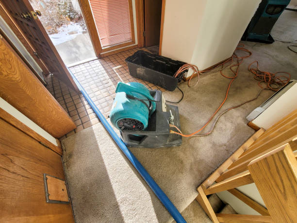 Best Water damage repair service  in Point Venture, TX