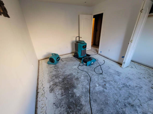 Best Water damage mitigation services  in Point Venture, TX
