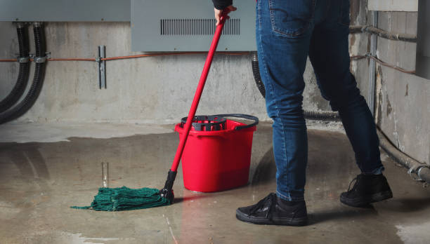 Best Ceiling water damage repair  in Point Venture, TX