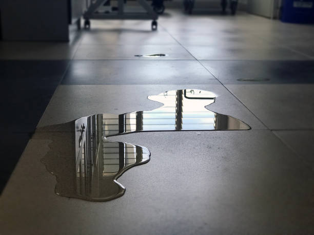Best Carpet water damage restoration  in Point Venture, TX