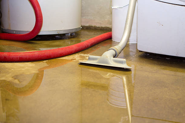 Best 24/7 water damage repair  in Point Venture, TX