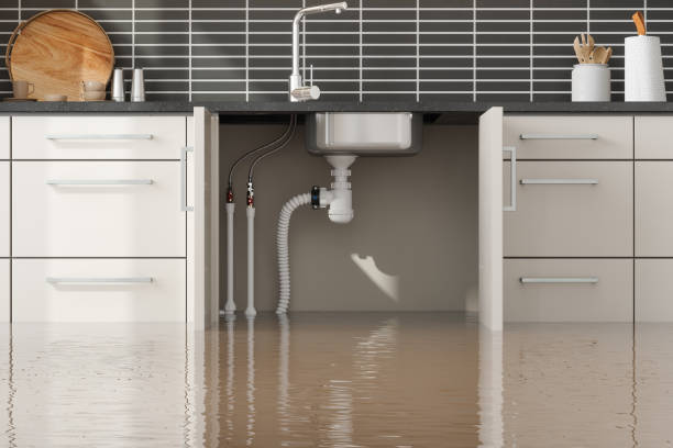 Best Water damage restoration near me  in Point Venture, TX